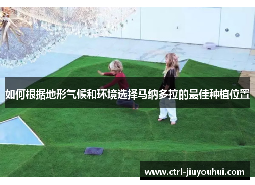 如何根据地形气候和环境选择马纳多拉的最佳种植位置 如何根据地形气候和环境选择马纳多拉的最佳种植位置