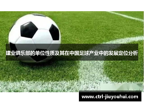 建业俱乐部的单位性质及其在中国足球产业中的发展定位分析